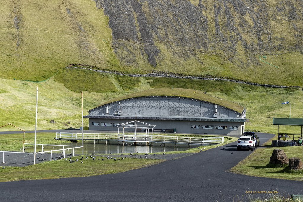 wimfr-vestmannaeyjar_070625_j2x0353.jpeg