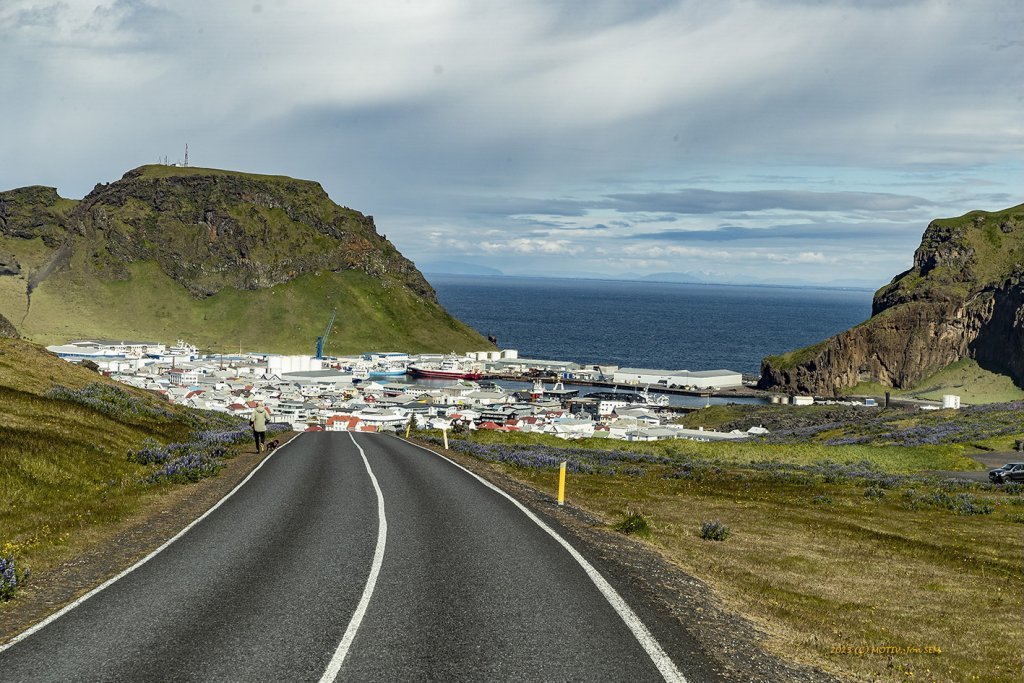 wimfr-vestmannaeyjar_070625_j2x0430.jpeg