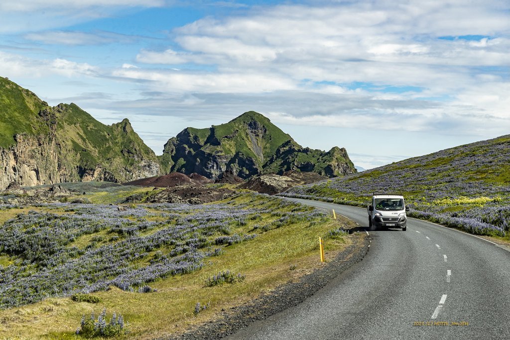wimfr-vestmannaeyjar_070625_j2x0435.jpeg