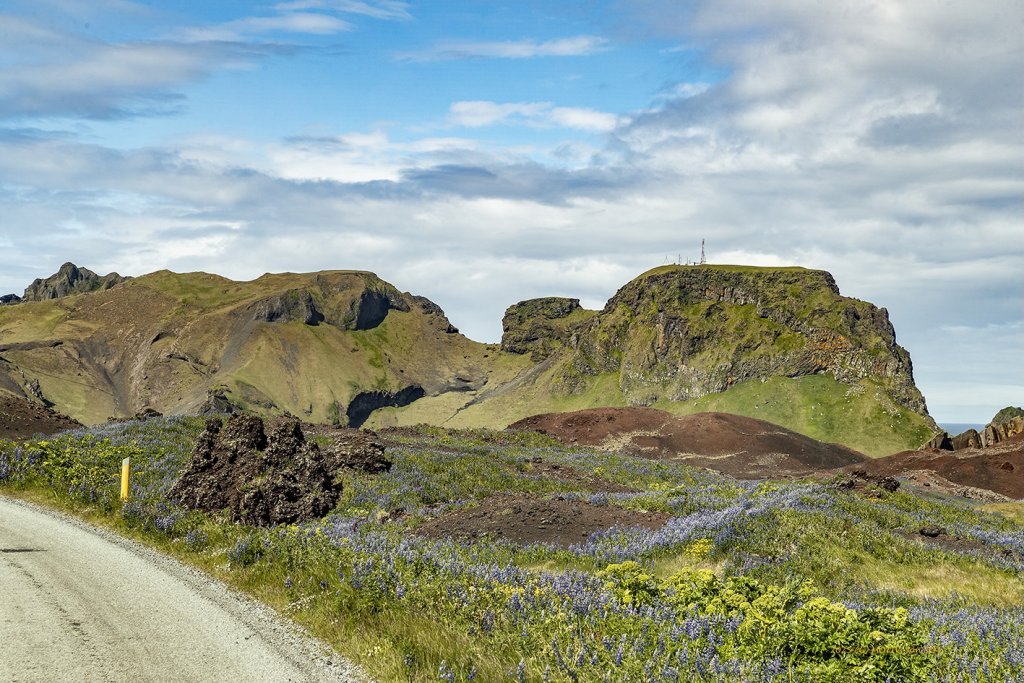 wimfr-vestmannaeyjar_070625_j2x0480.jpeg
