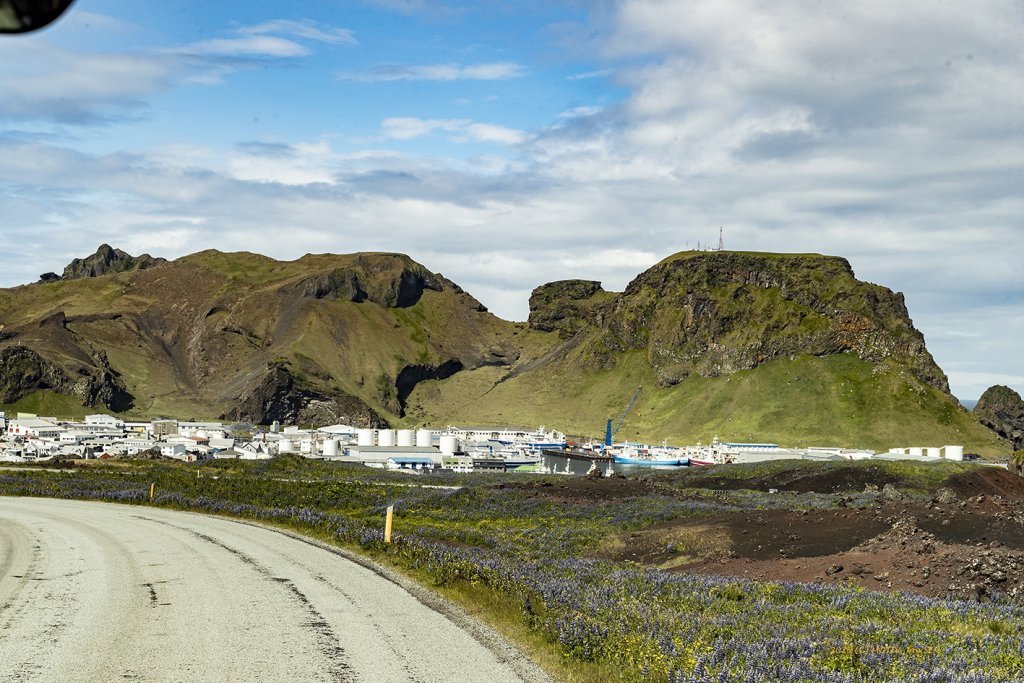 wimfr-vestmannaeyjar_070625_j2x0482.jpeg