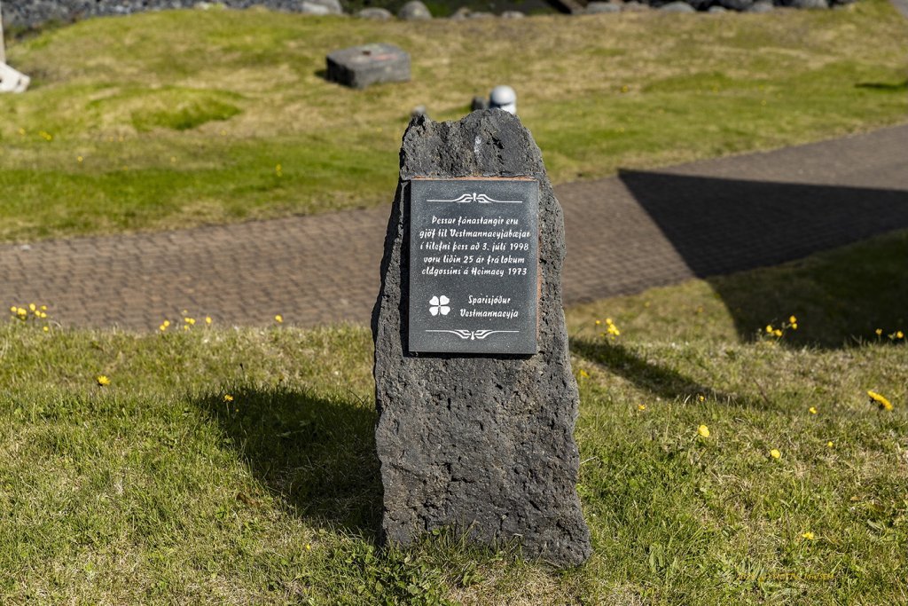 wimfr-vestmannaeyjar_070625_j2x0517.jpeg