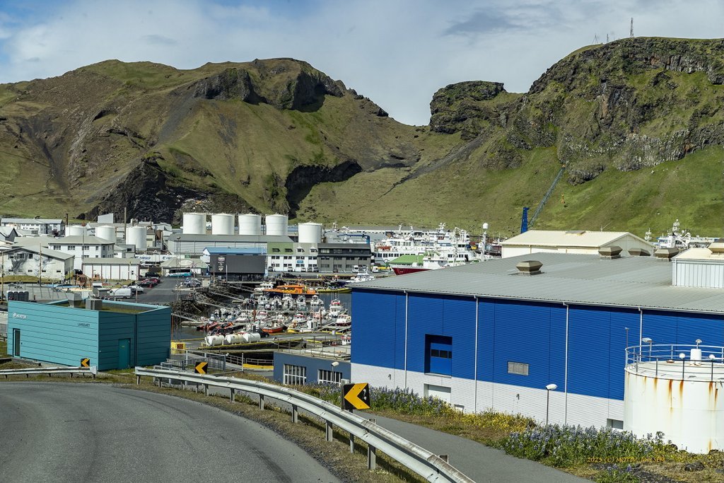 wimfr-vestmannaeyjar_070625_j2x0522.jpeg