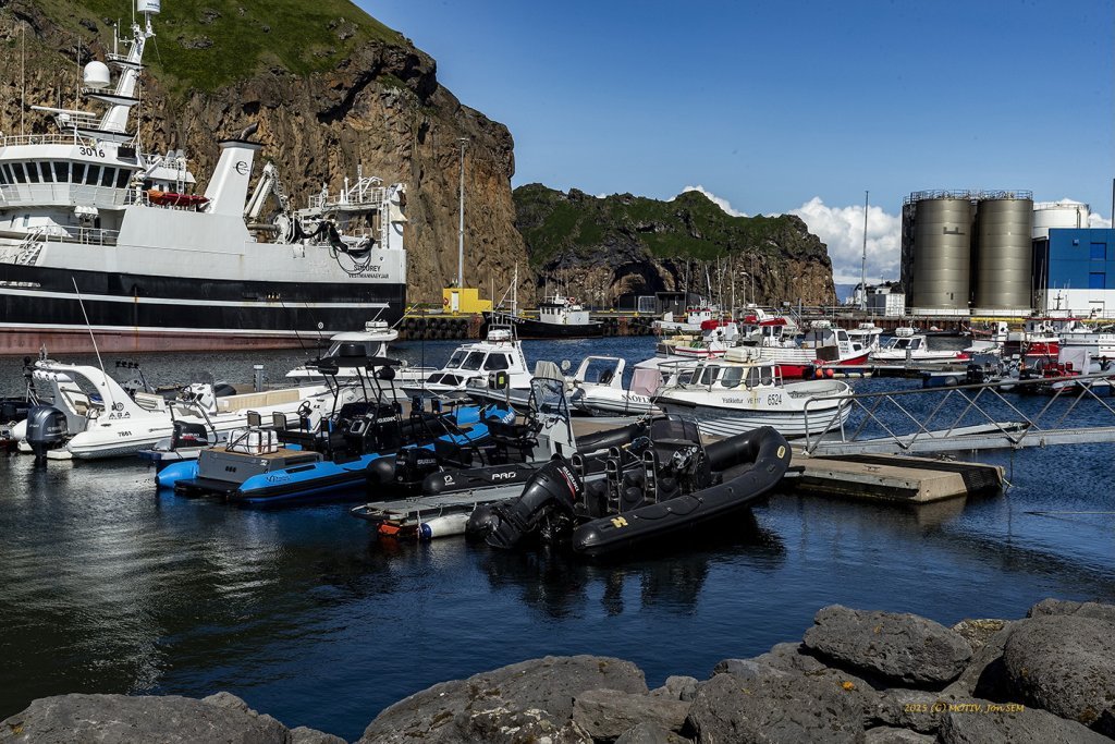 wimfr-vestmannaeyjar_070625_j2x0719.jpeg