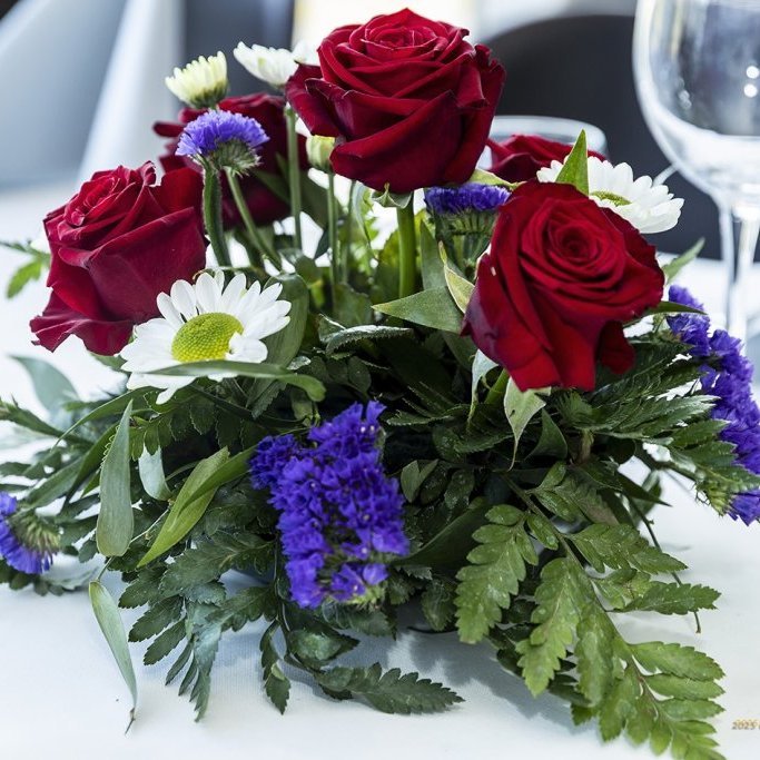 wimfr-nordic_060625_j2x0080