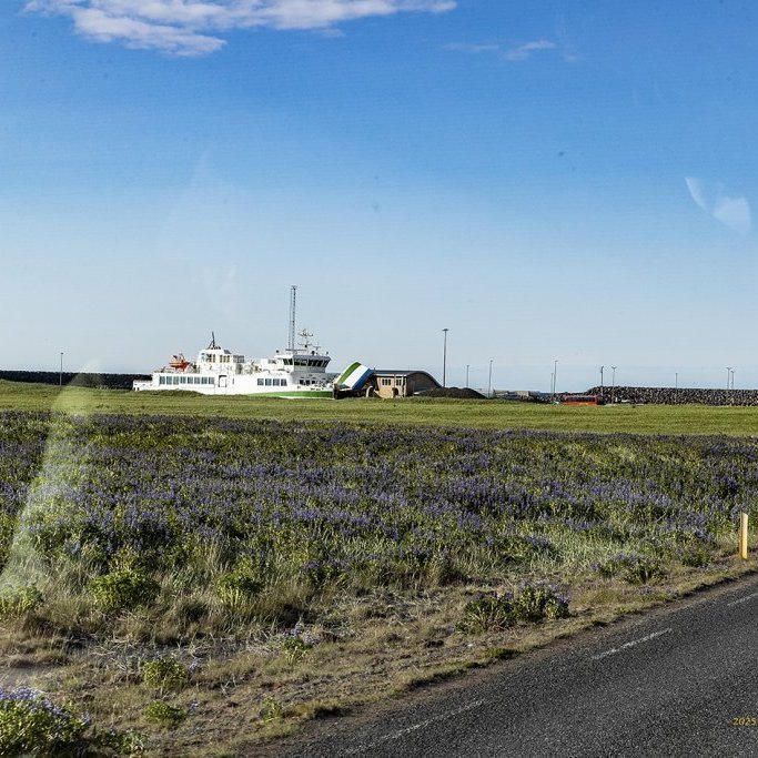 wimfr-vestmannaeyjar_070625_j2x0304