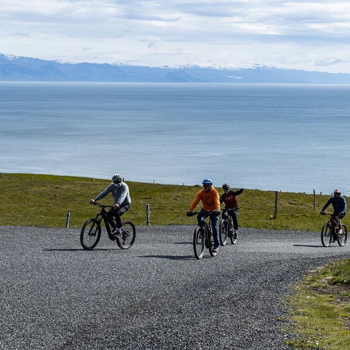 wimfr-vestmannaeyjar_070625_j2x0373