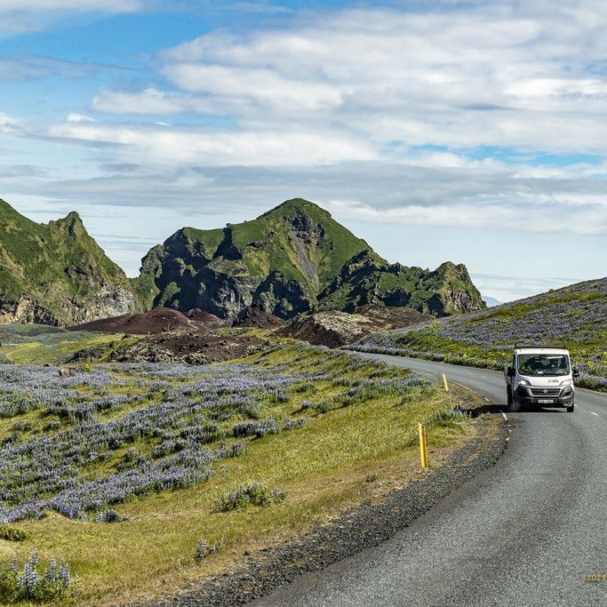 wimfr-vestmannaeyjar_070625_j2x0435