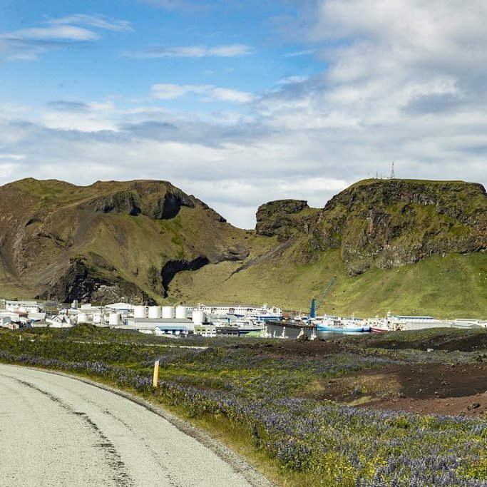 wimfr-vestmannaeyjar_070625_j2x0482