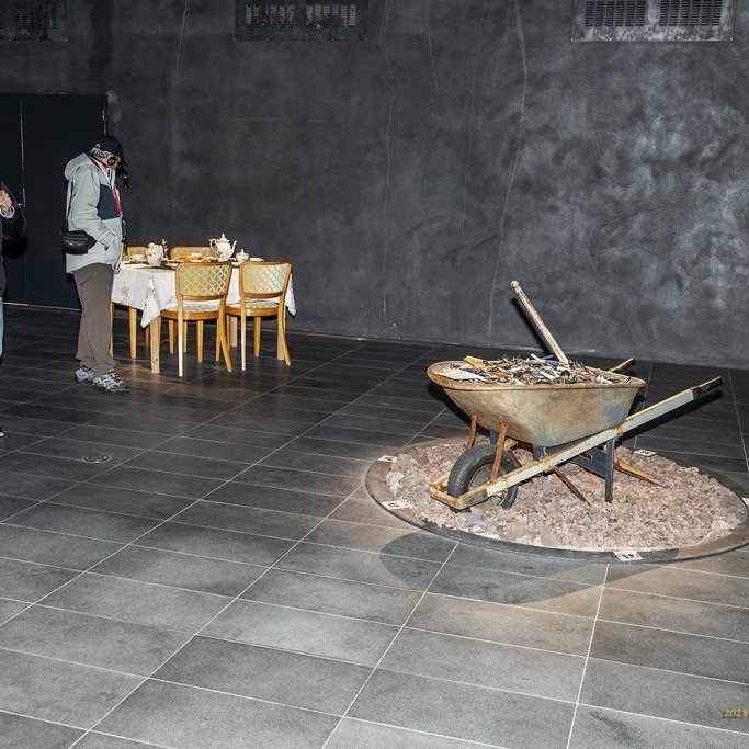 wimfr-vestmannaeyjar_070625_j2x0618