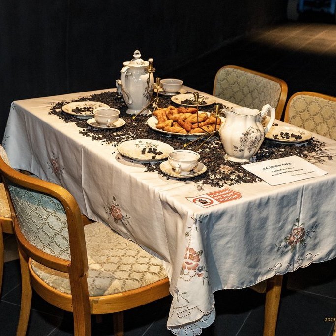 wimfr-vestmannaeyjar_070625_j2x0680