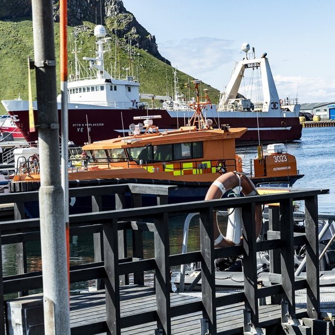 wimfr-vestmannaeyjar_070625_j2x0699