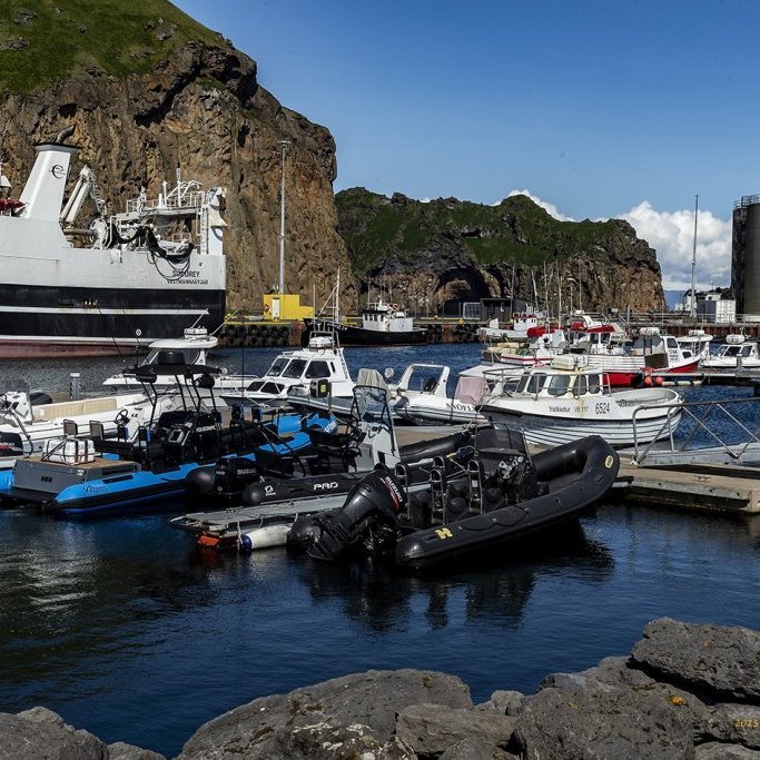 wimfr-vestmannaeyjar_070625_j2x0719