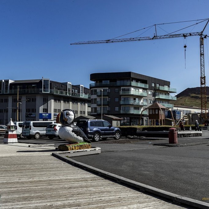 wimfr-vestmannaeyjar_070625_j2x0724