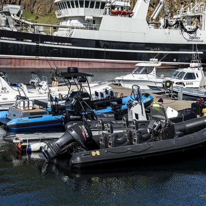 wimfr-vestmannaeyjar_070625_j2x0730