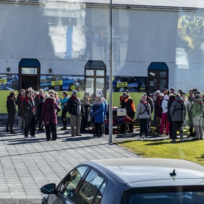 wimfr-vestmannaeyjar_070625_j2x0734