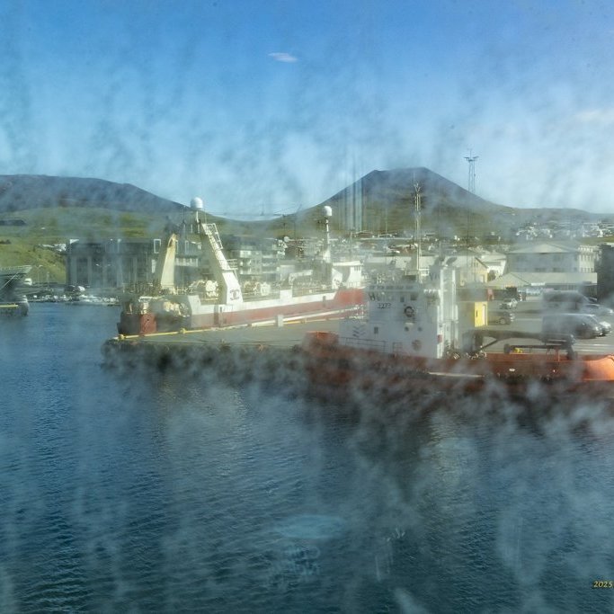 wimfr-vestmannaeyjar_070625_j2x0772