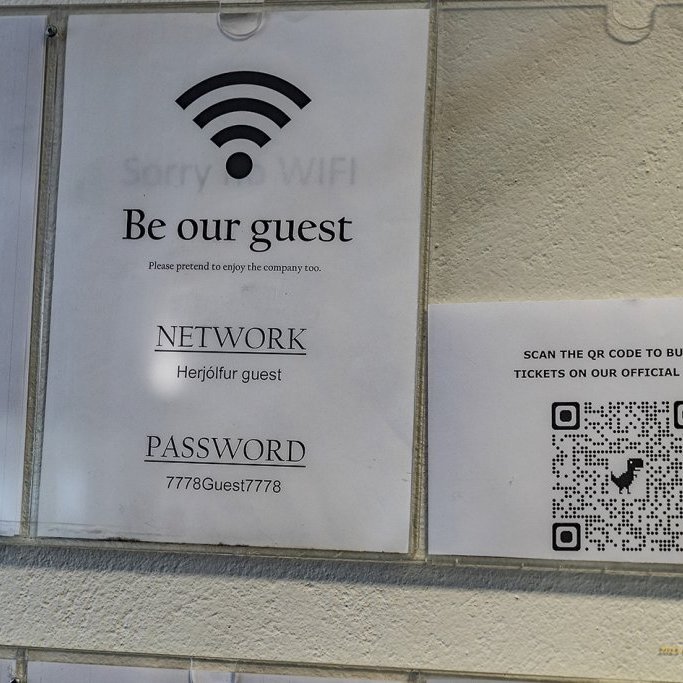 wimfr-vestmannaeyjar_070625_j2x0780