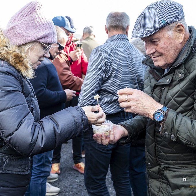 wimfr-vestmannaeyjar_070625_j2x0811