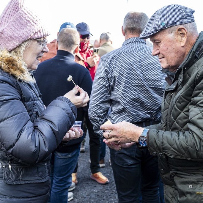 wimfr-vestmannaeyjar_070625_j2x0813