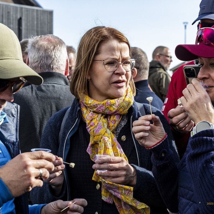 wimfr-vestmannaeyjar_070625_j2x0832