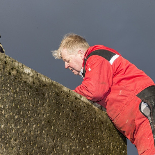 wimfr_010217_jsx7711