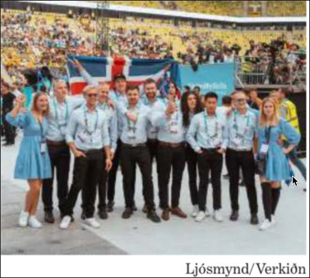 Frábær árangur á Euroskills 2023