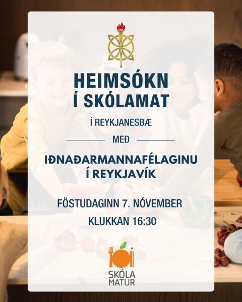 Heimsókn í Skólamat
